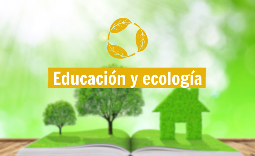 Educación y ecología: tu acción sostenible de la mano de tus libros usados.
