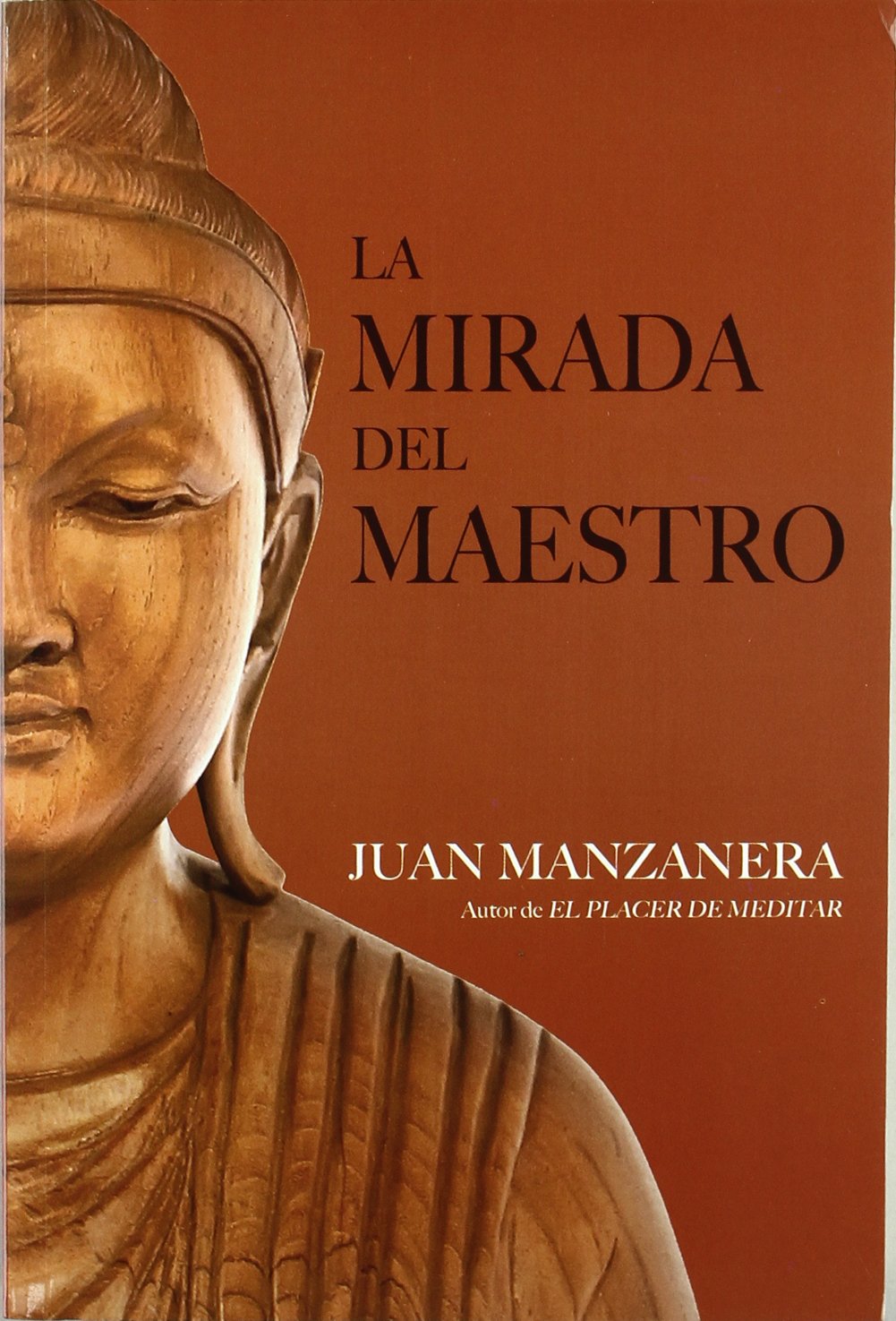 Mirada del maestro, la (SIN COLECCION)