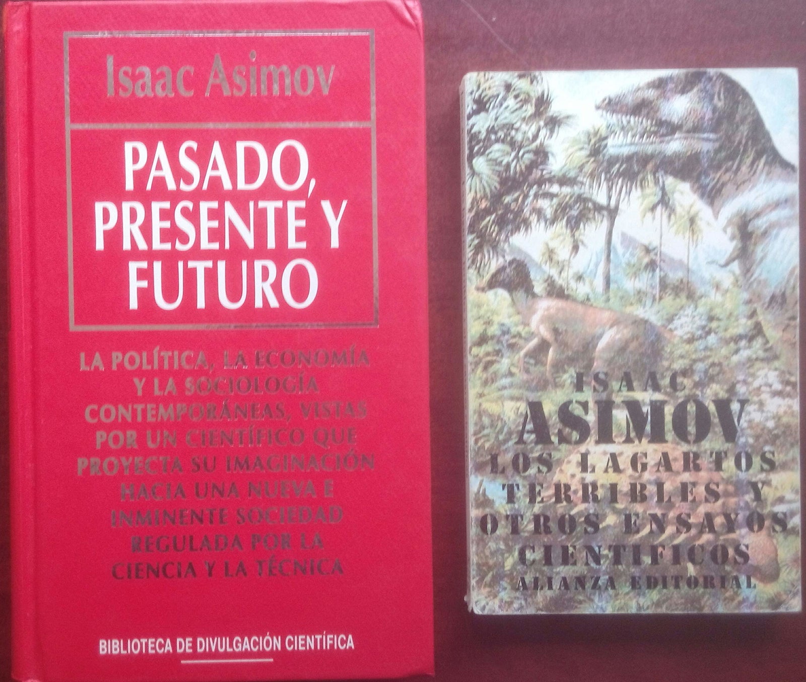 Pasado,presente y futuro