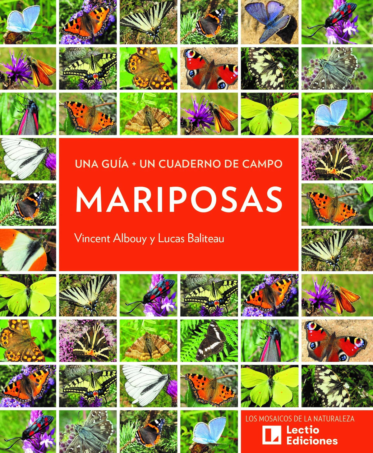 Mariposas