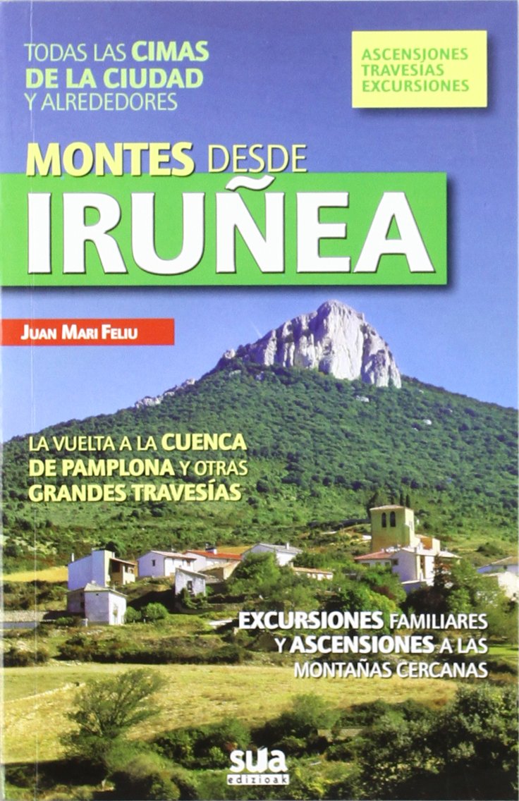 Montes desde Iruñea