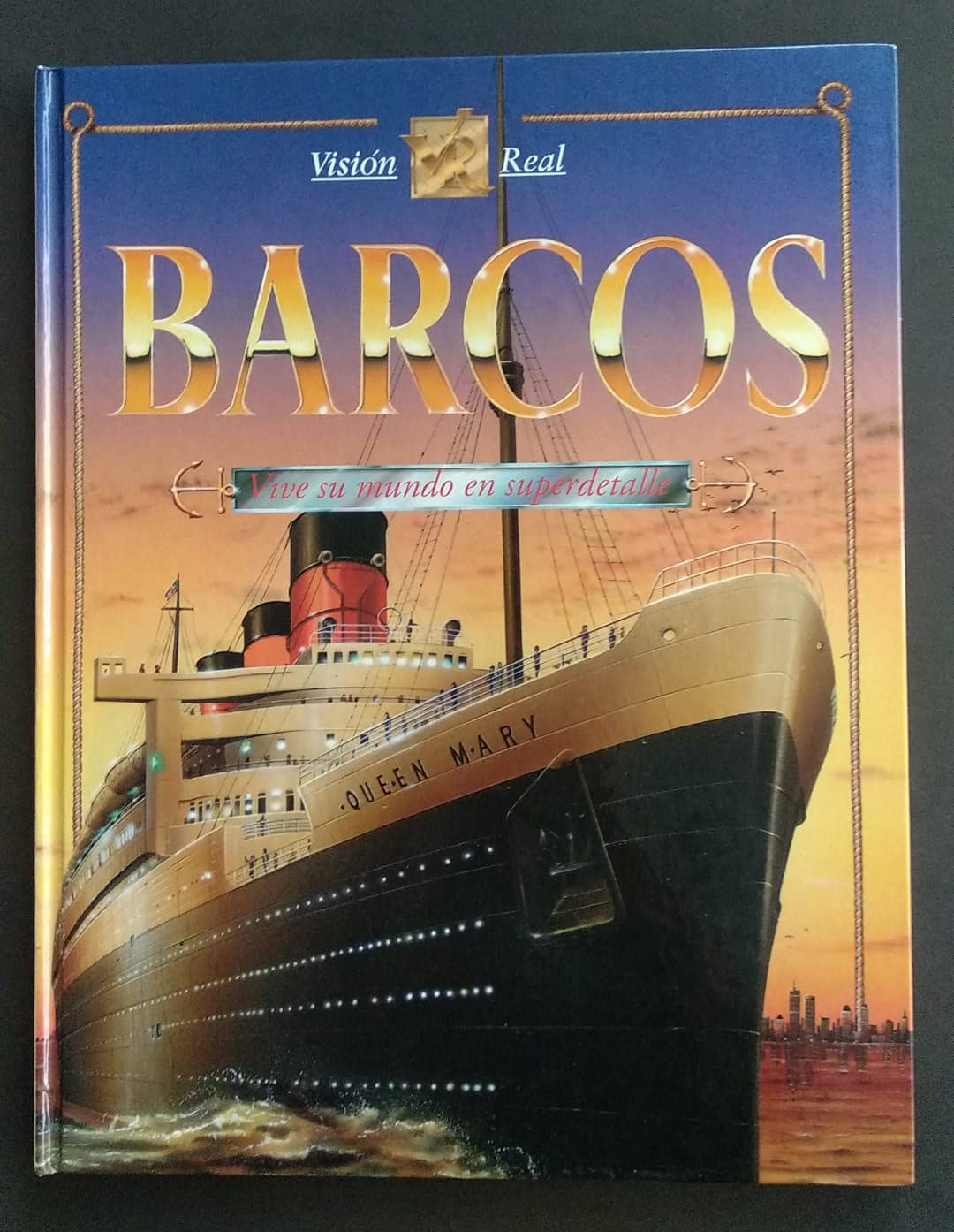 Barcos vision real