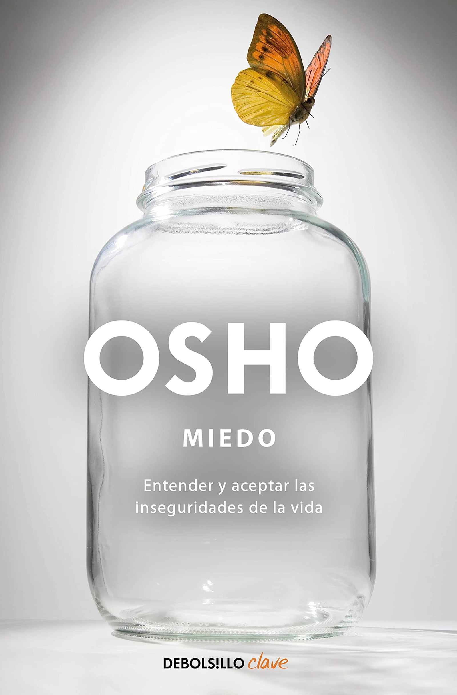 Miedo: entender y aceptar las inseguridades de la vida