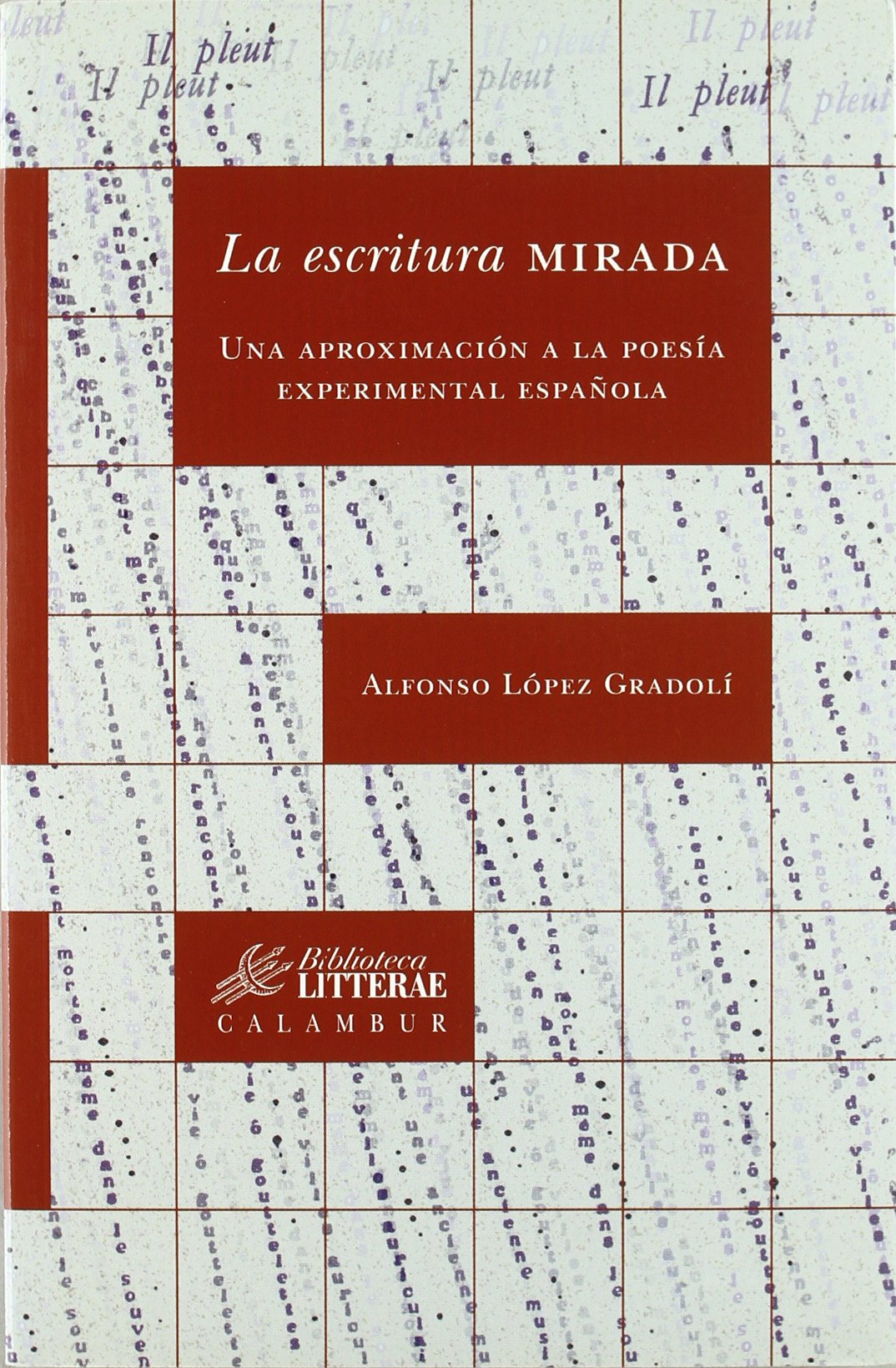 La escritura mirada: Una aproximación a la poesía experimental española: 016 (Biblioteca Litterae)
