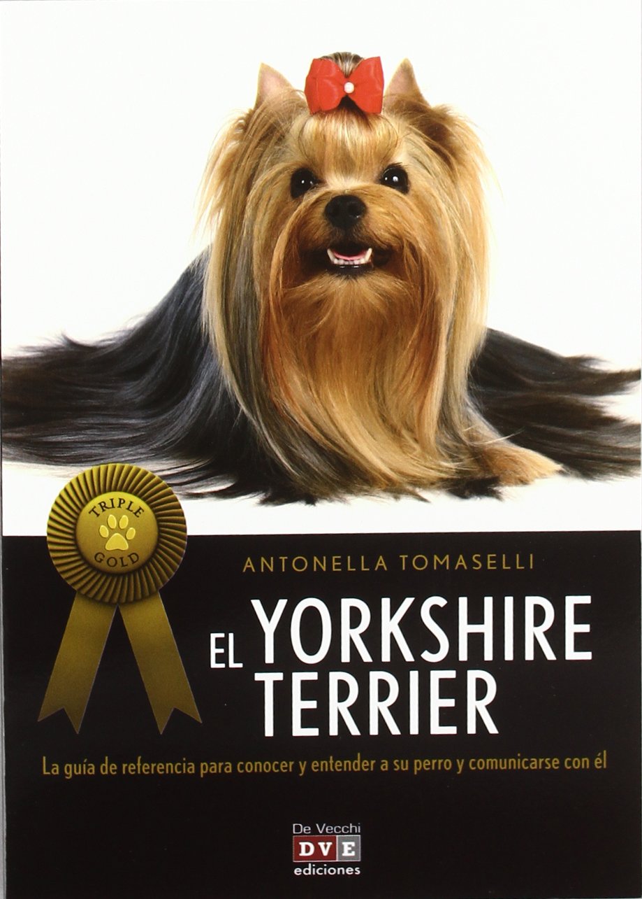 Yorkshire Terrier (ANIMALES)