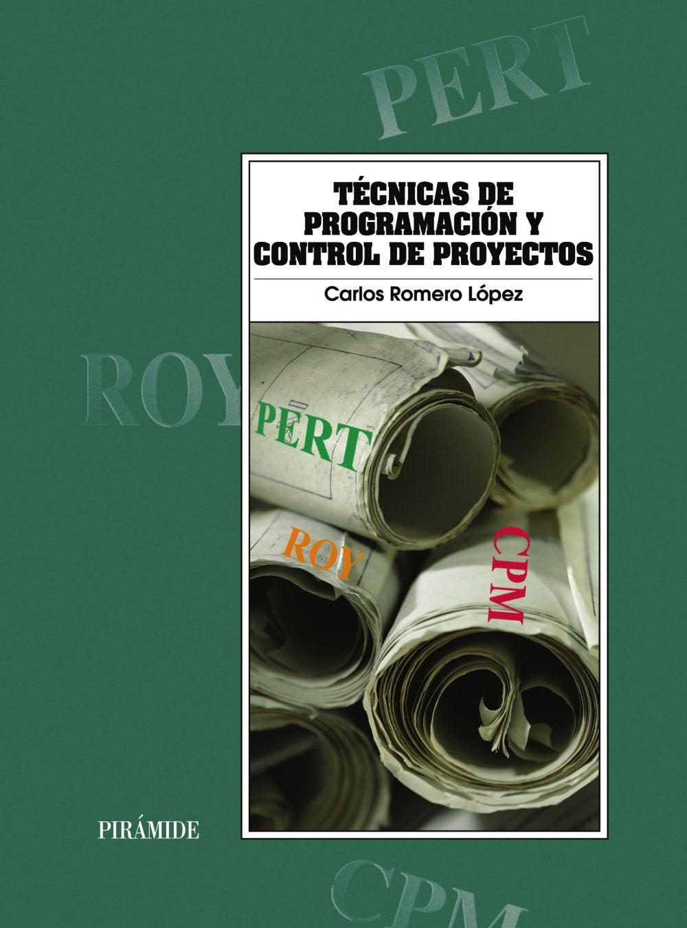 Técnicas de programación y control de proyectos (Economía y Empresa)