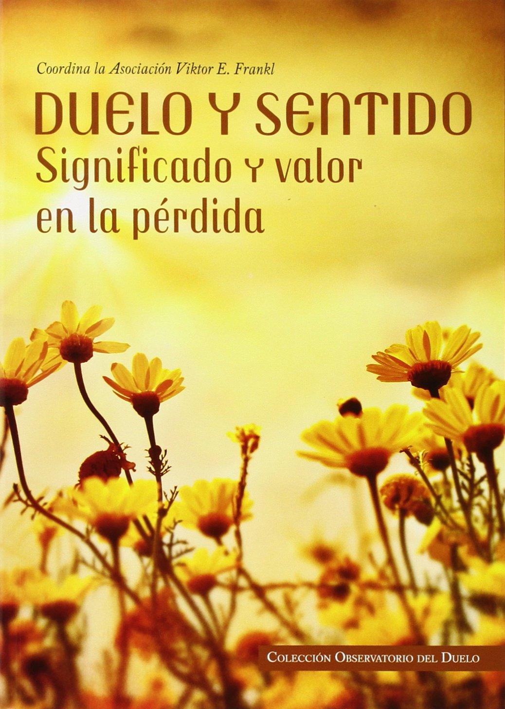 Duelo Y Sentido: Significado y valor en la pérdida (OBSERVATORIO DEL DUELO)