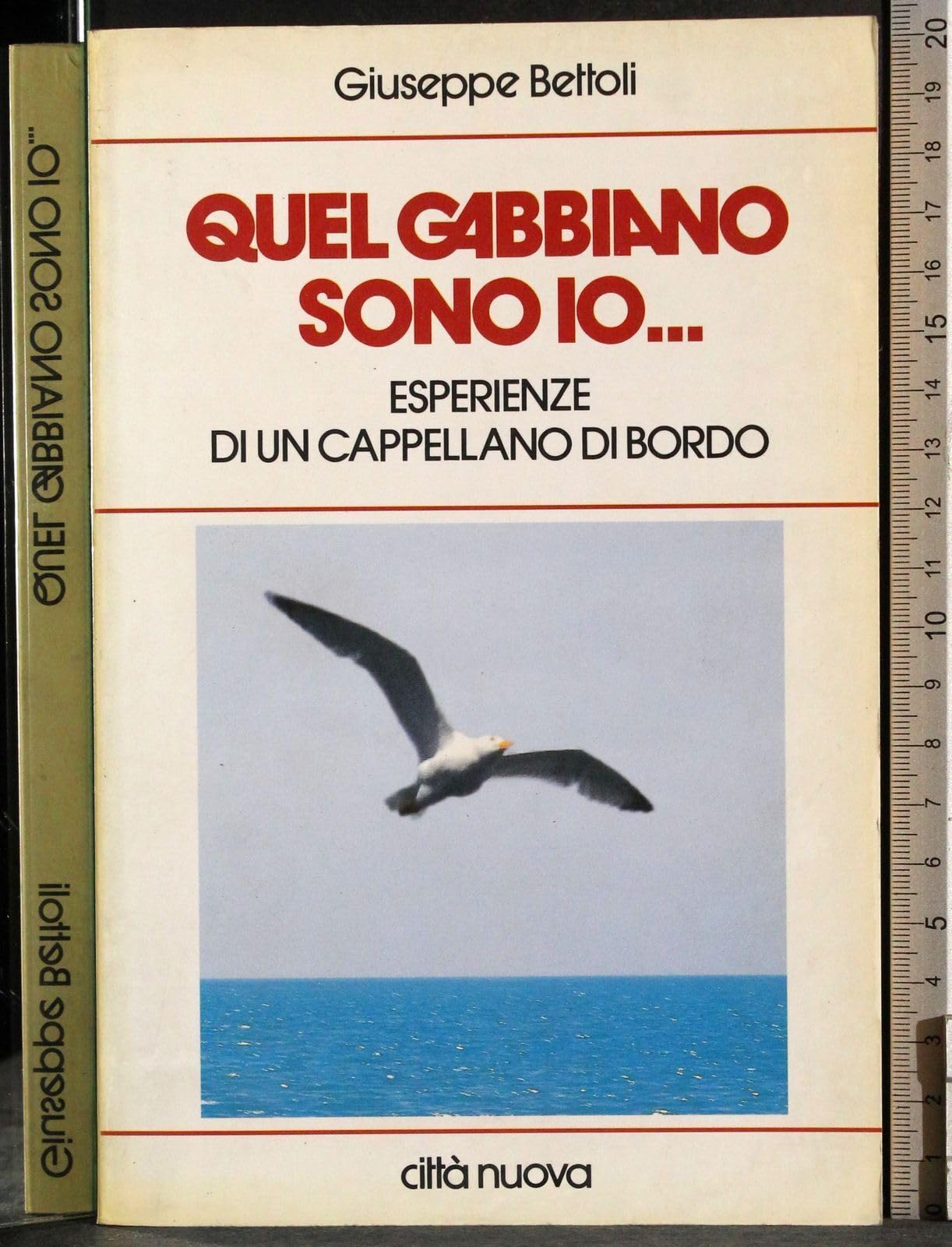 Quel gabbiano sono io... Esperienze di un cappellano di bordo (Vite vissute)