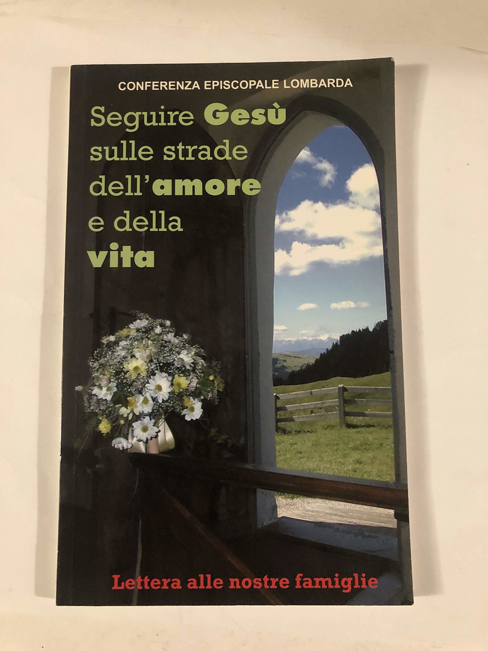Seguire Gesù sulle strade dell'amore e della vita. Lettera alle nostre famiglie