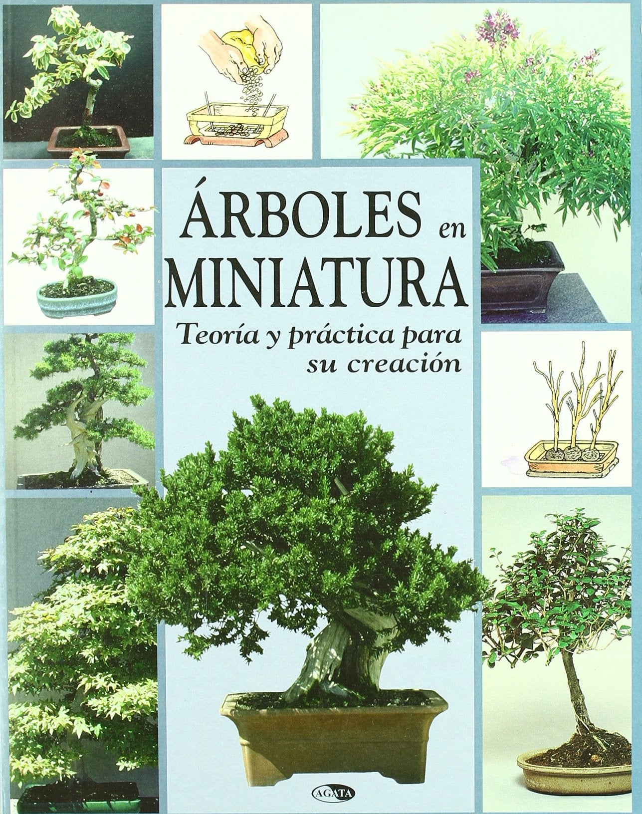 ARBOLES EN MINIATURA-TEORIA Y PRACTICA (SIN COLECCION)