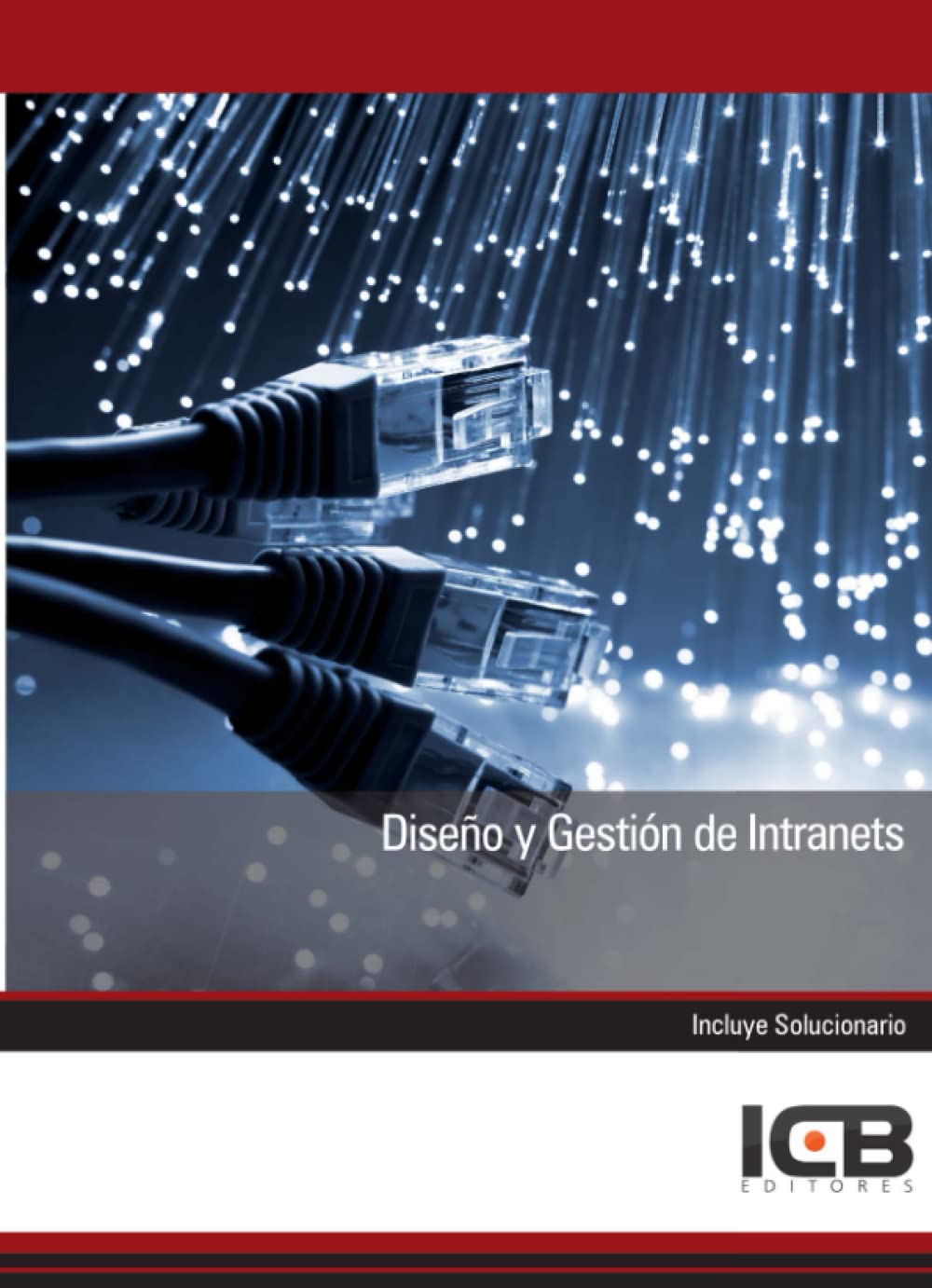 Diseño y Gestión de Intranets (Informática y Comunicaciones)