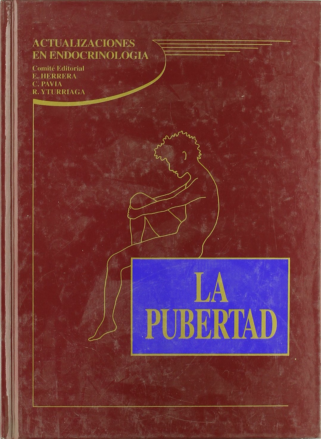 La pubertad. Actualizaciones en endocrinología 1 (SIN COLECCION)