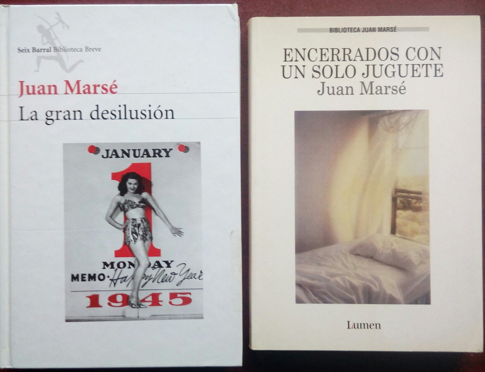 La gran desilusión (Biblioteca Breve)