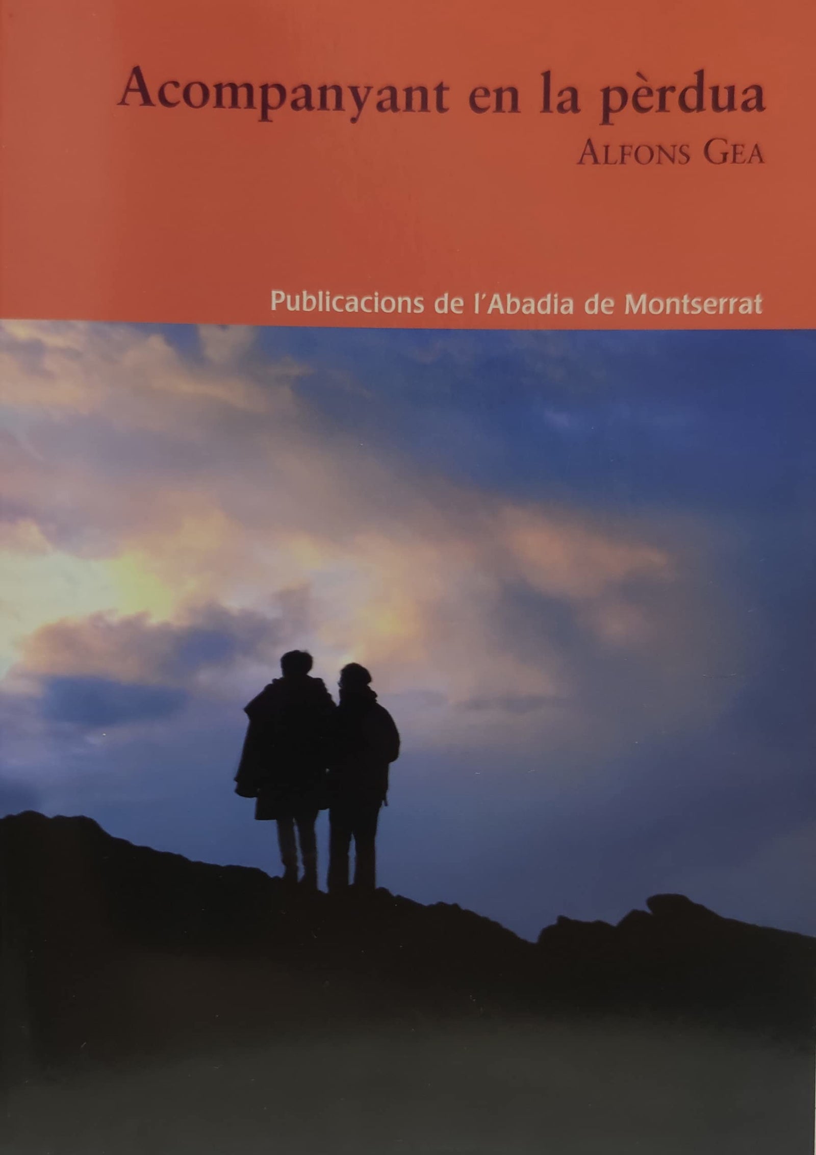 Acompanyant en la pèrdua: 173 (Saurí)