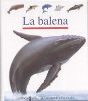 La balena: 43 (Mundo maravilloso)