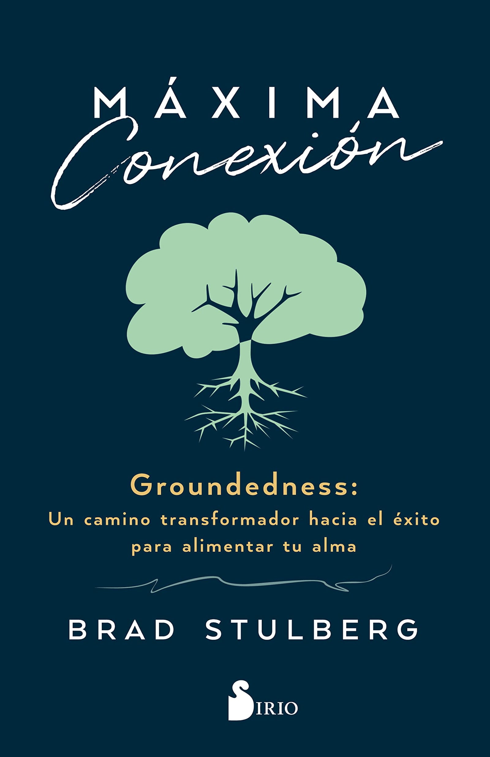 Máxima Conexión: Un camino transformador hacia el éxito para alimentar tu alma (SIN COLECCION)