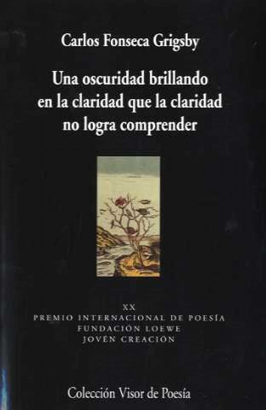 Una oscuridad brillando en la claridad que la claridad no logra comprender: 681 (Visor de Poesía)
