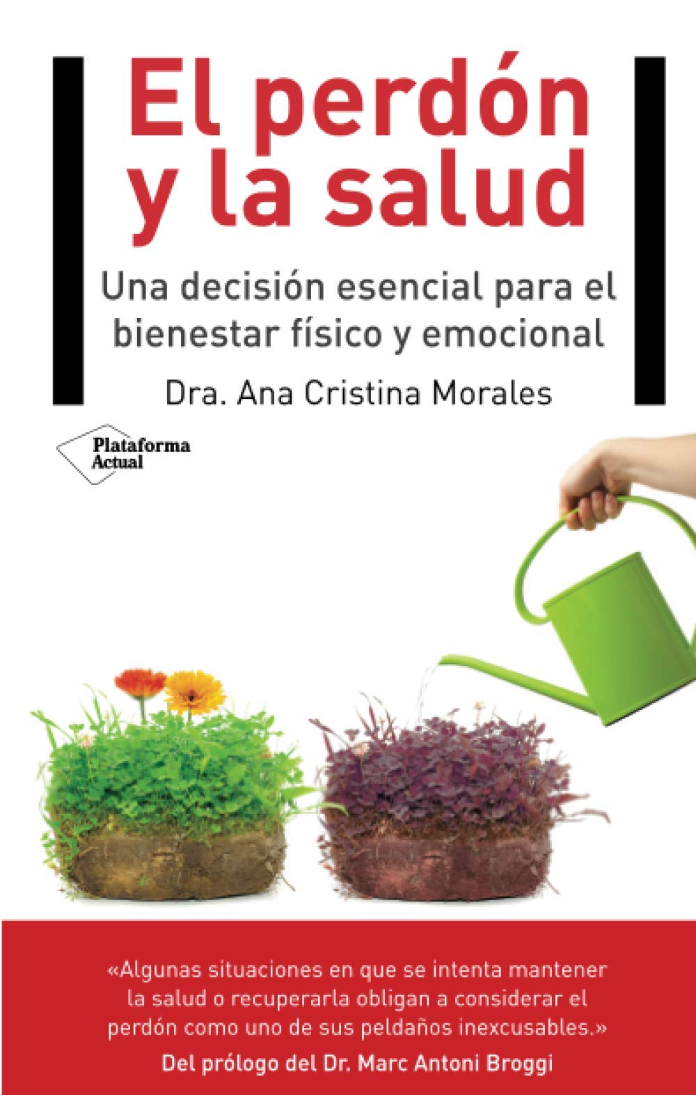 El perdón y la salud: Una decisión esencial para el bienestar físico y emocional (Actual)