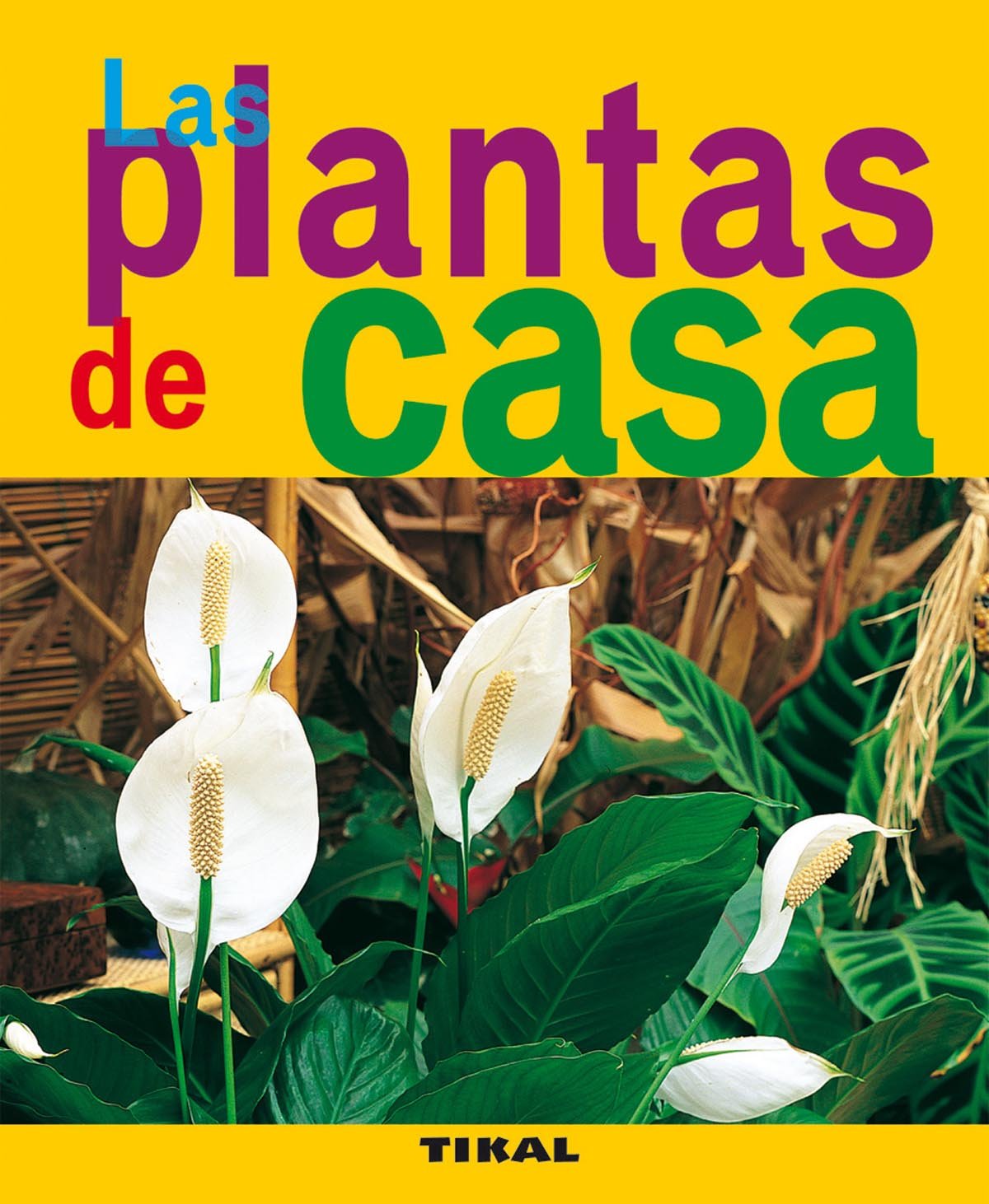 Plantas De Casa