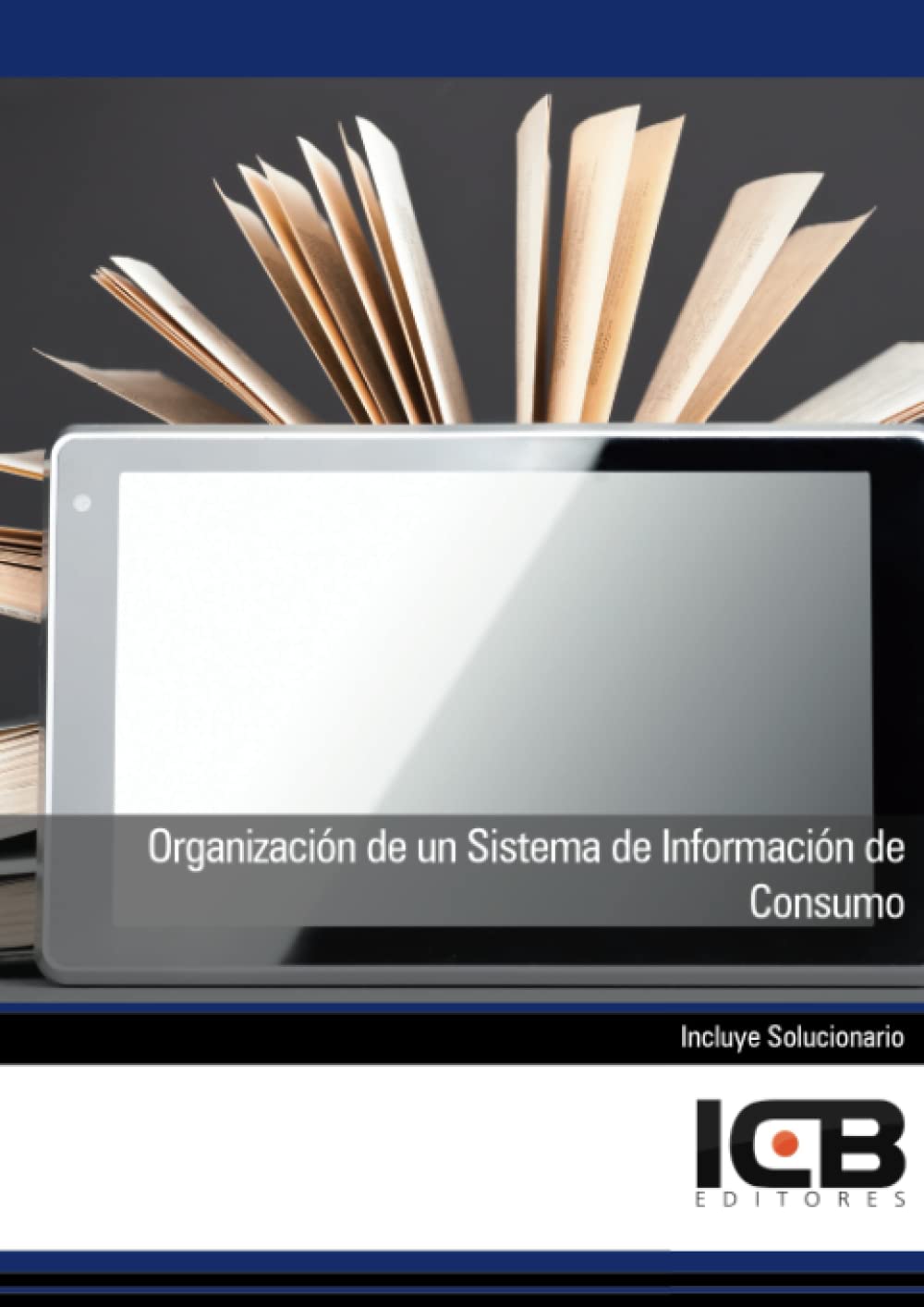 Organización de un Sistema de Información de Consumo