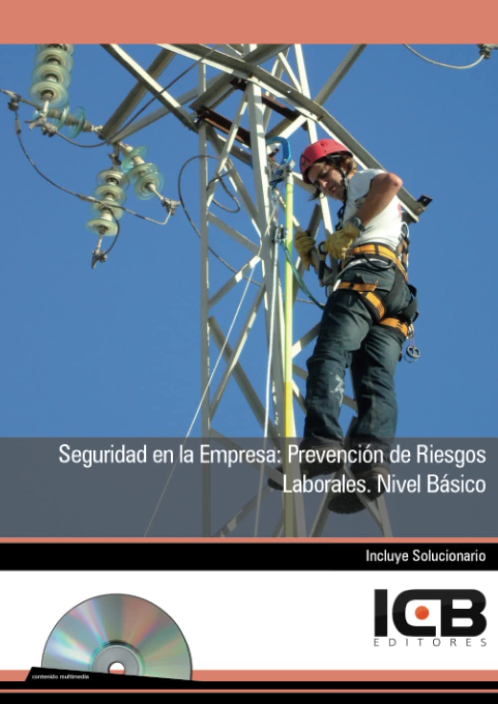 Seguridad en la Empresa: Prevención de Riesgos Laborales. Nivel Básico - Incluye Contenido Multimedia