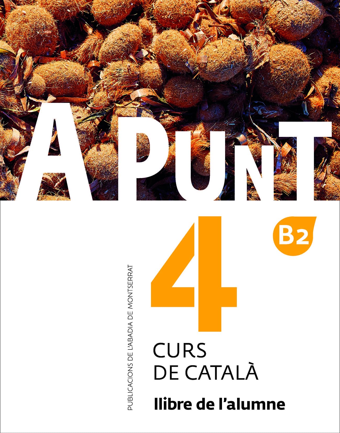 A punt 4. Llibre de l'alumne