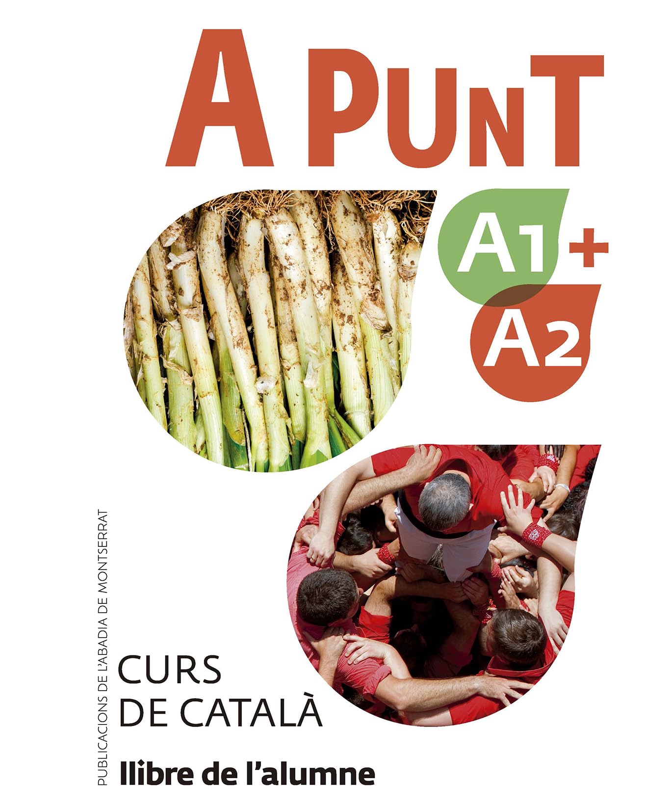 A Punt A1 + A2 -Alumne-: 1