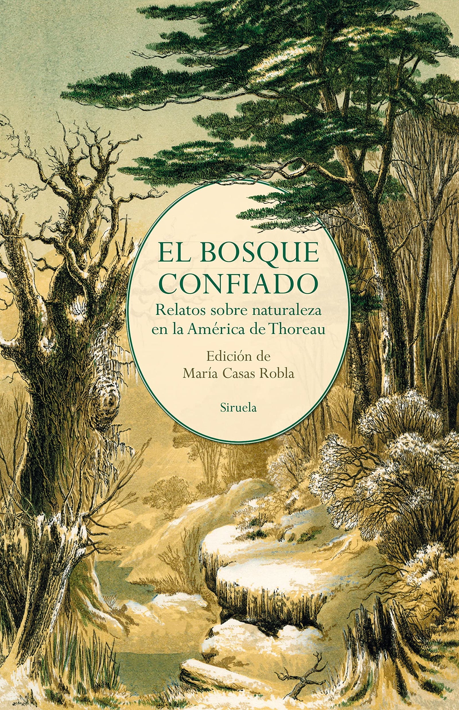 El bosque confiado: Relatos sobre naturaleza en la América de Thoreau: 418 (Libros del Tiempo)