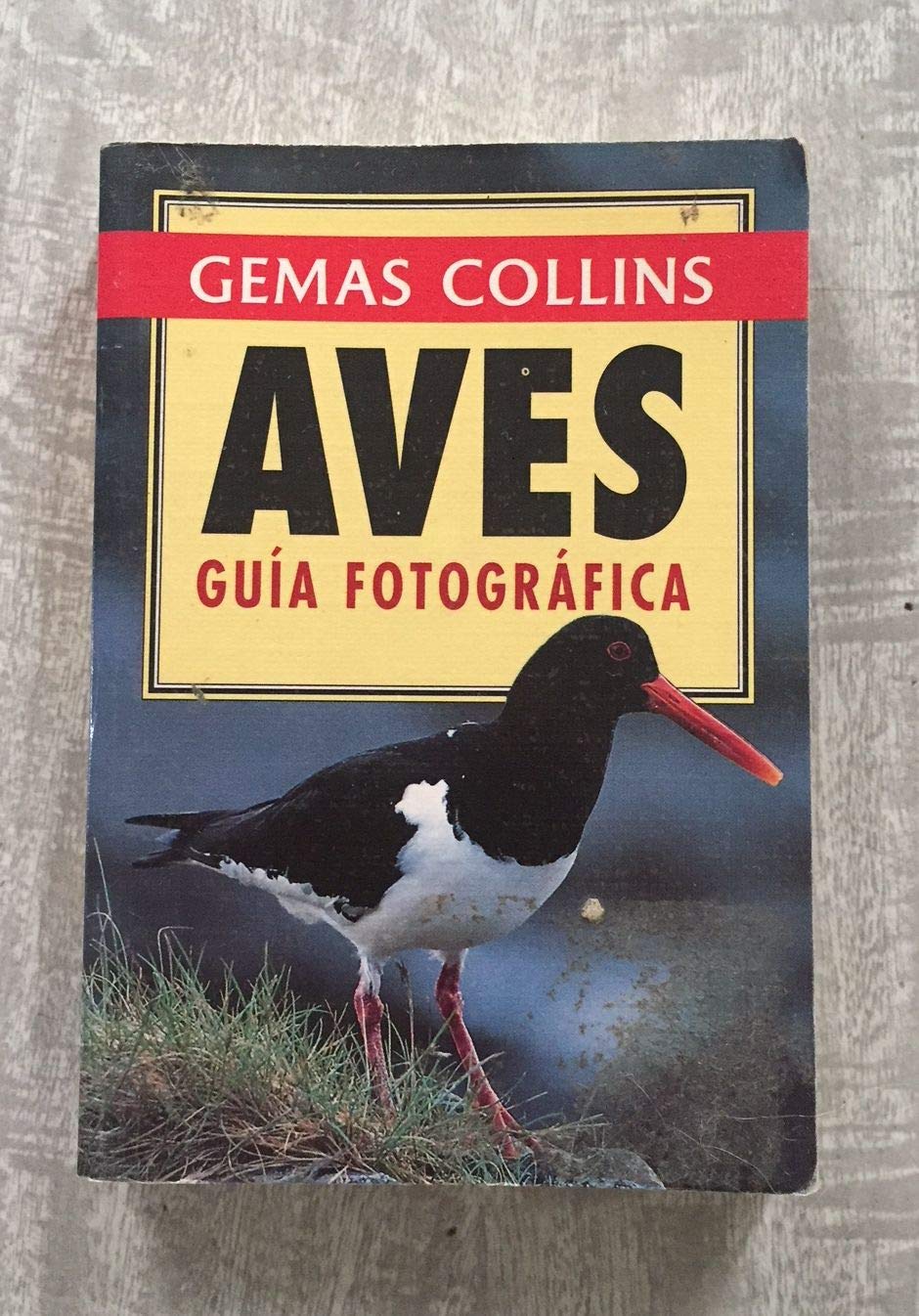 Aves guia fotografica