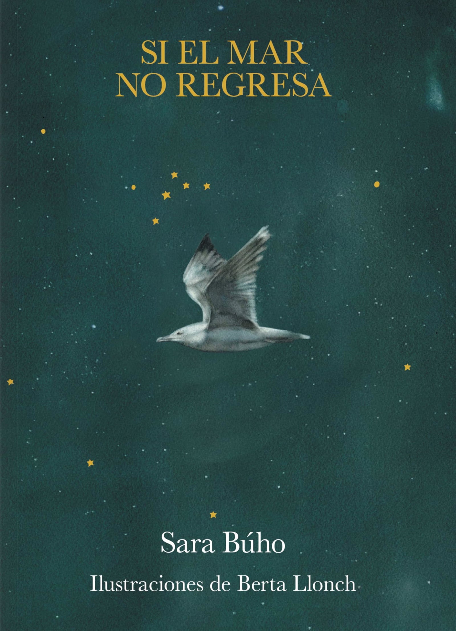 Si el mar no regresa (Poesía)
