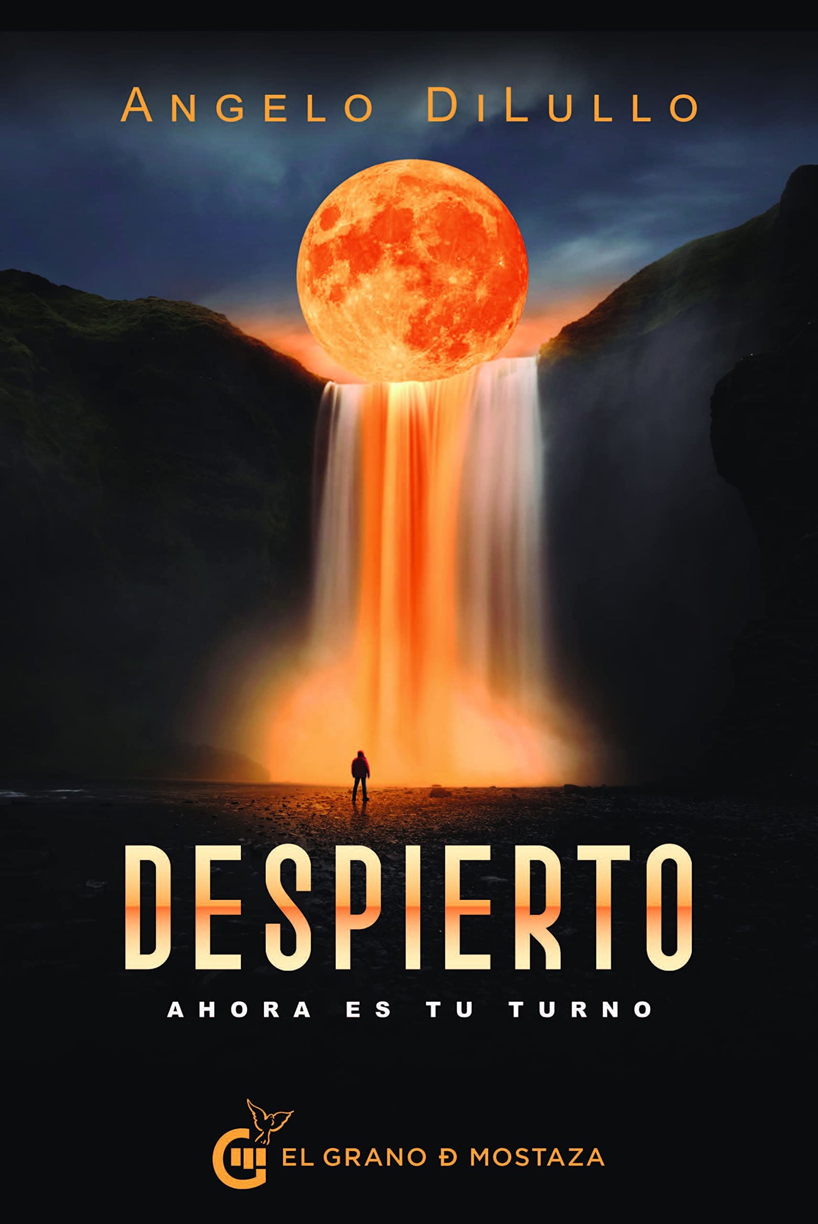 DESPIERTO: AHORA ES TU TURNO (SIN COLECCION)