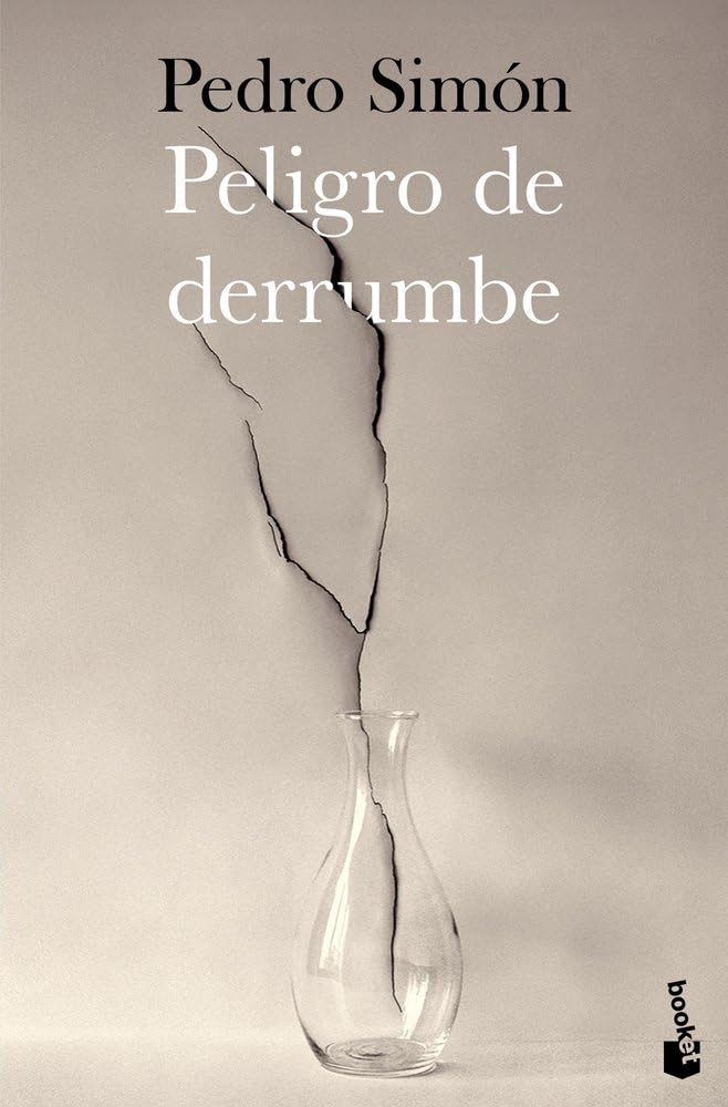 Peligro de derrumbe (Novela)