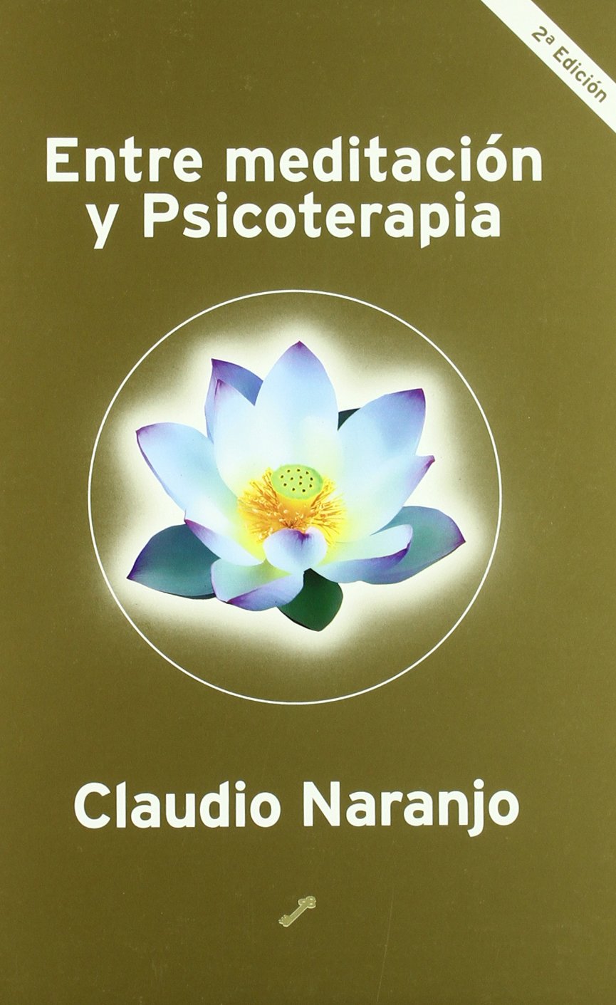 Entre meditación y psicoterapia (SIN COLECCION)
