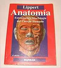 Anatomía
