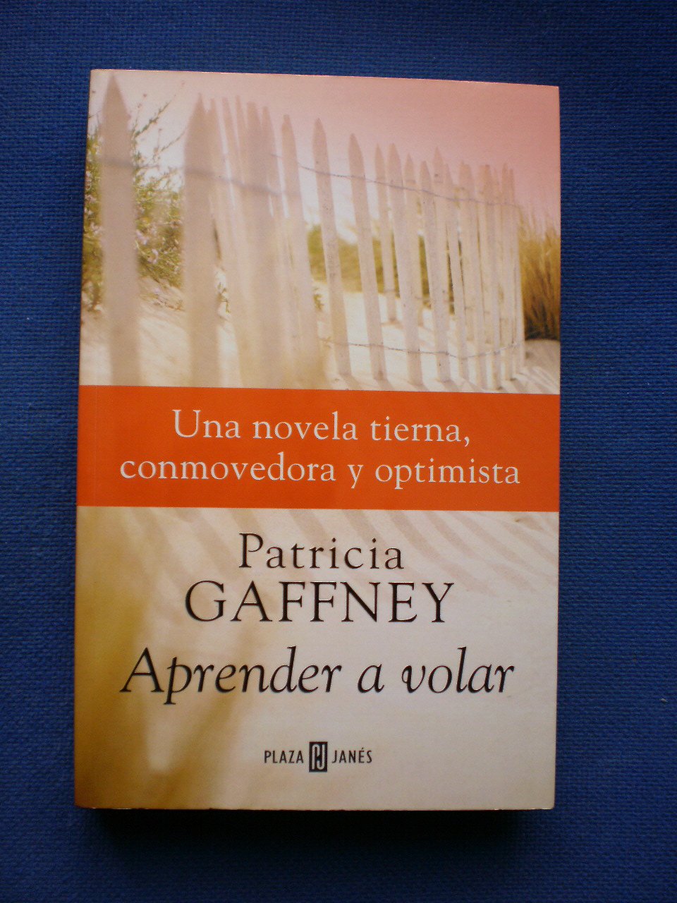 Aprender a volar/Learn To Fly