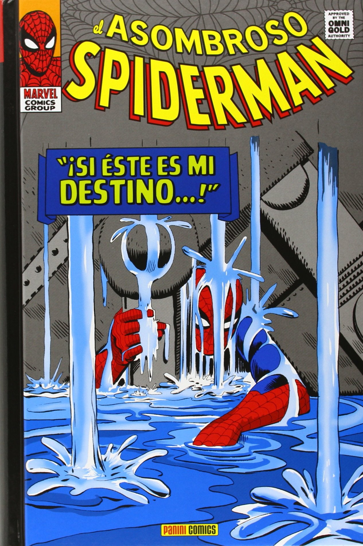 El Asombroso Spiderman 2 . ¡Si éste es mi destino!