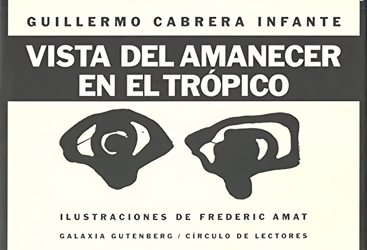Vista del amanecer en el trópico (Ilustrados)