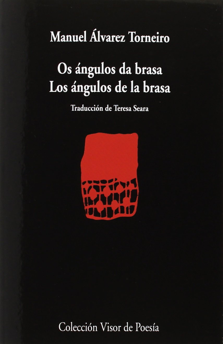 Los ángulos da brasa: Los ángulos de la brasa: 856 (Visor de Poesía)