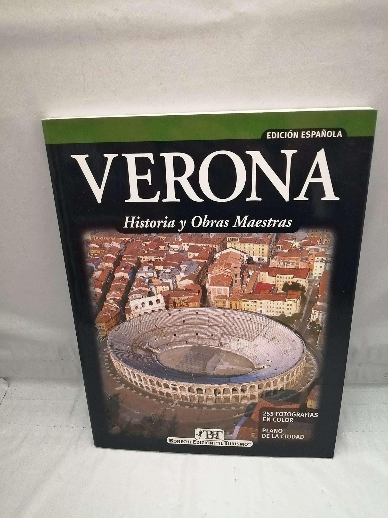 Verona. Storia e capolavori. Ediz. spagnola