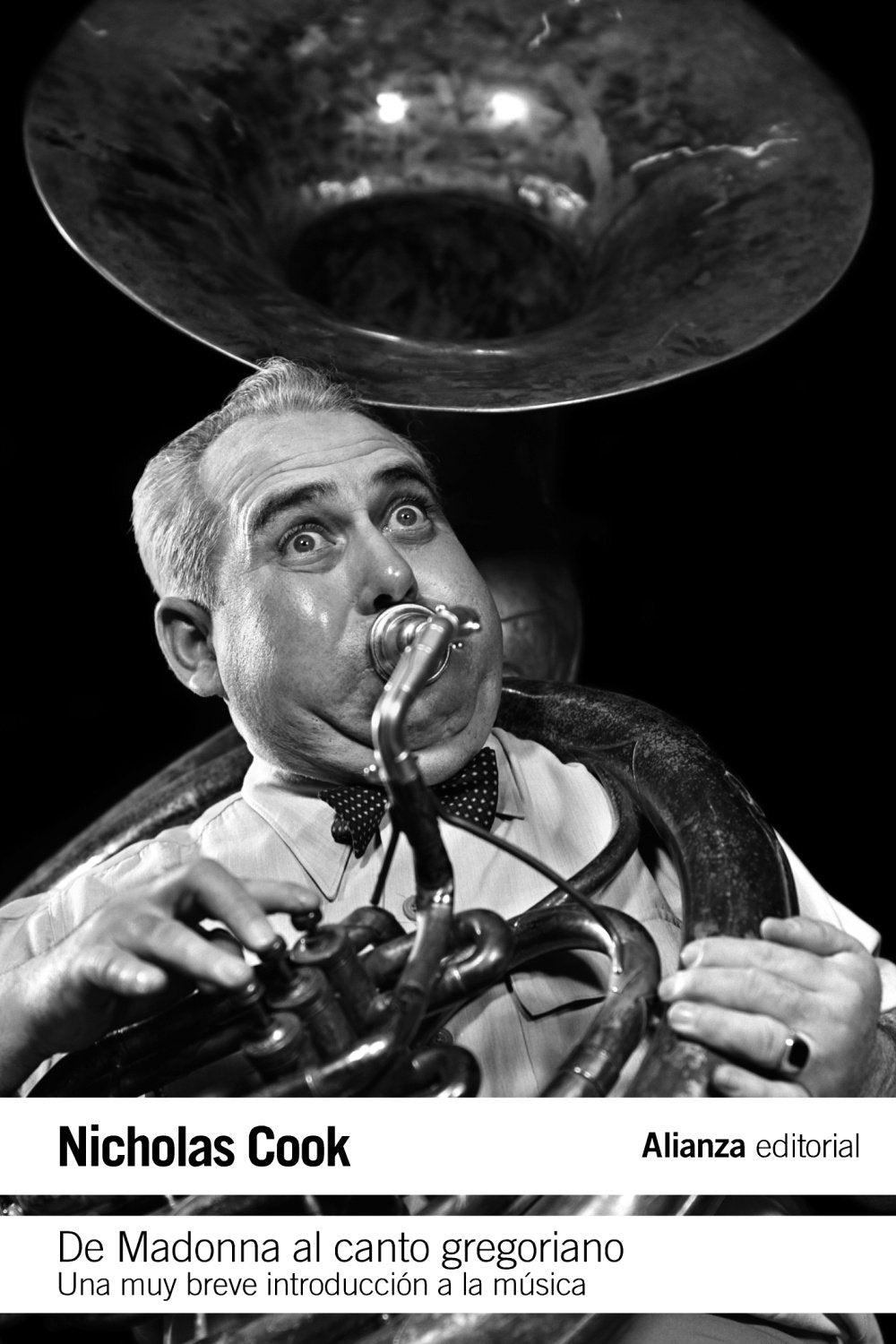 De Madonna al canto gregoriano: Una muy breve introducción a la música (El libro de bolsillo - Humanidades)