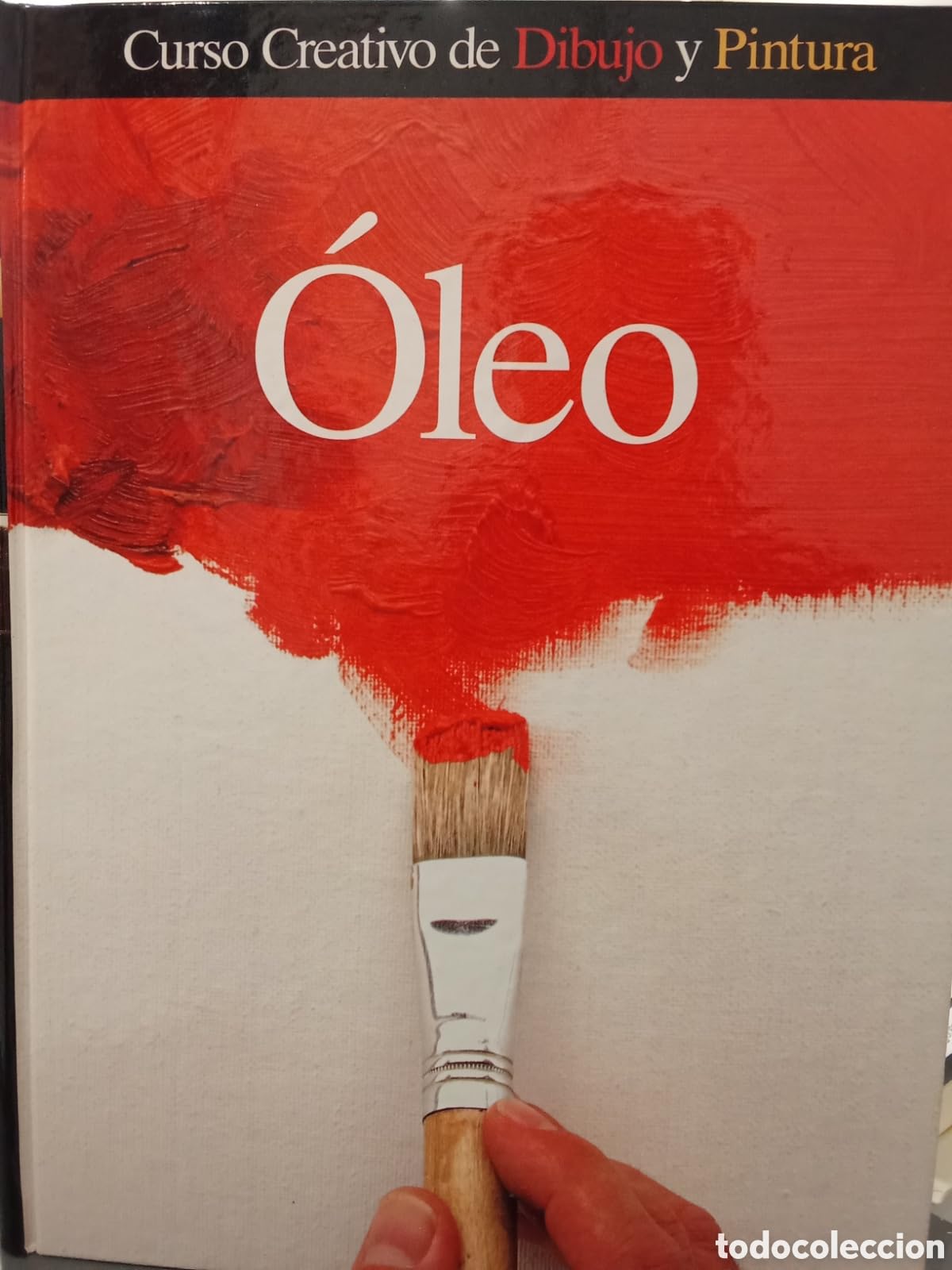 Curso creativo de dibujo y pintura: Óleo