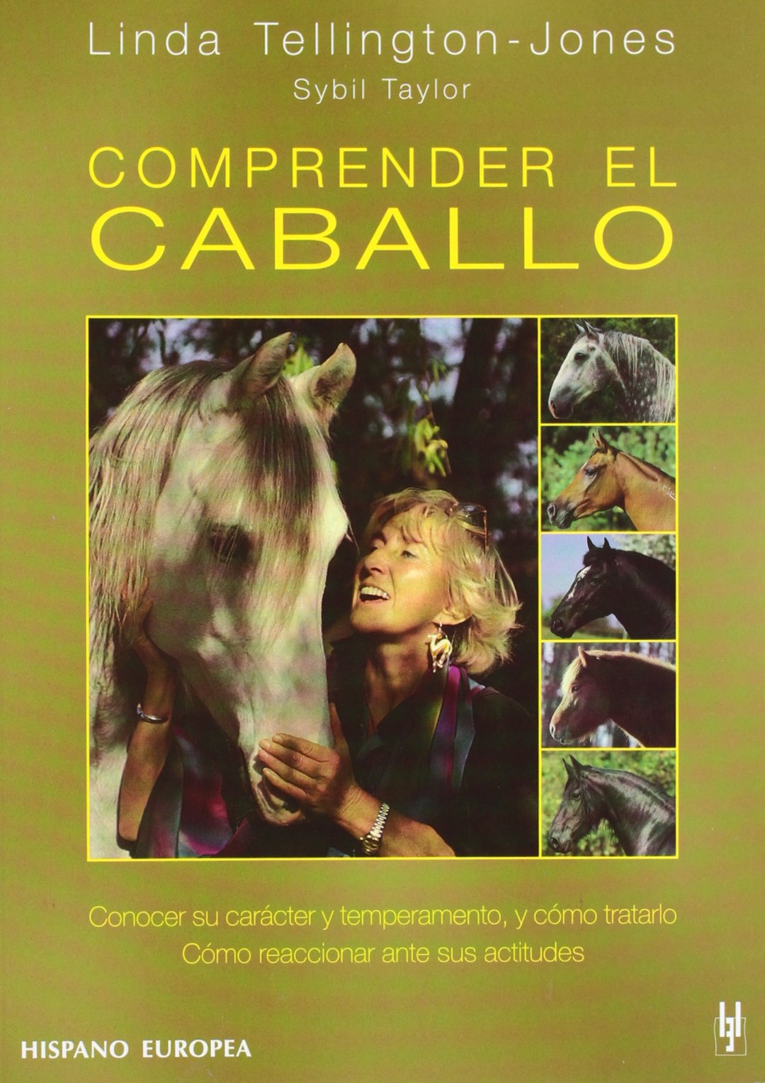 Comprender el caballo