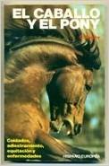 CABALLO Y EL PONY (SALUD,YOGA,RELAJACION)