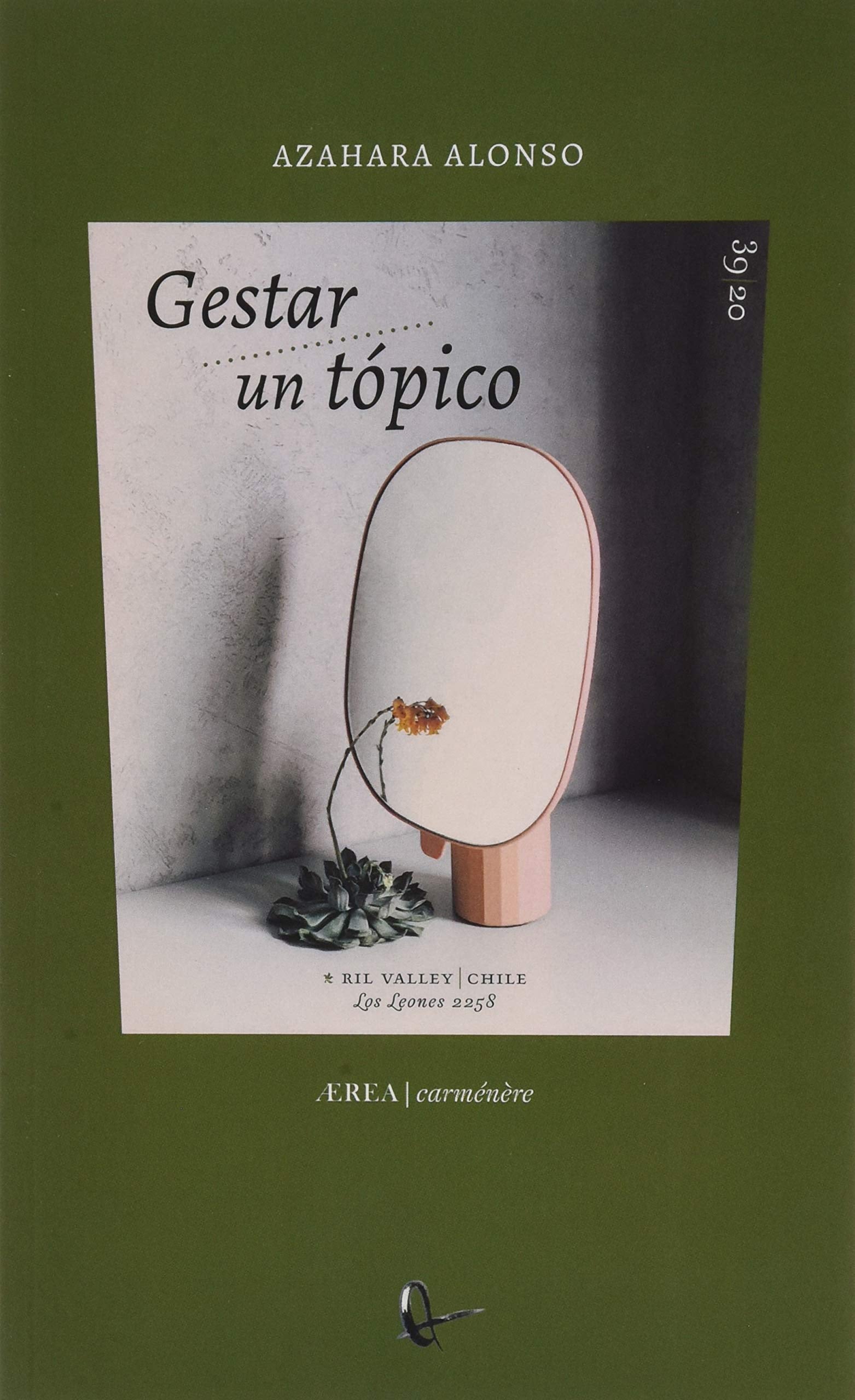 Gestar Un Tópico: 39 (Ærea)