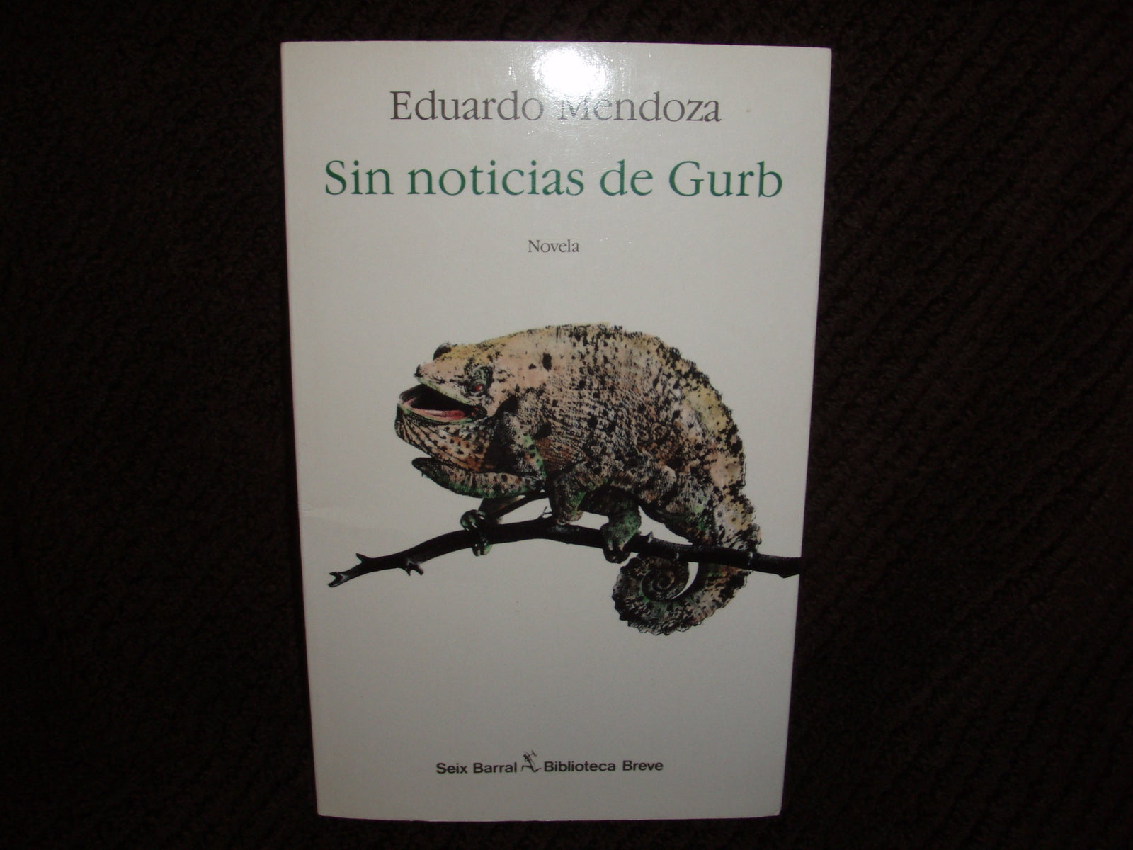 Sin Noticias De Gurb