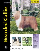 Bearded Collie (Excellence)