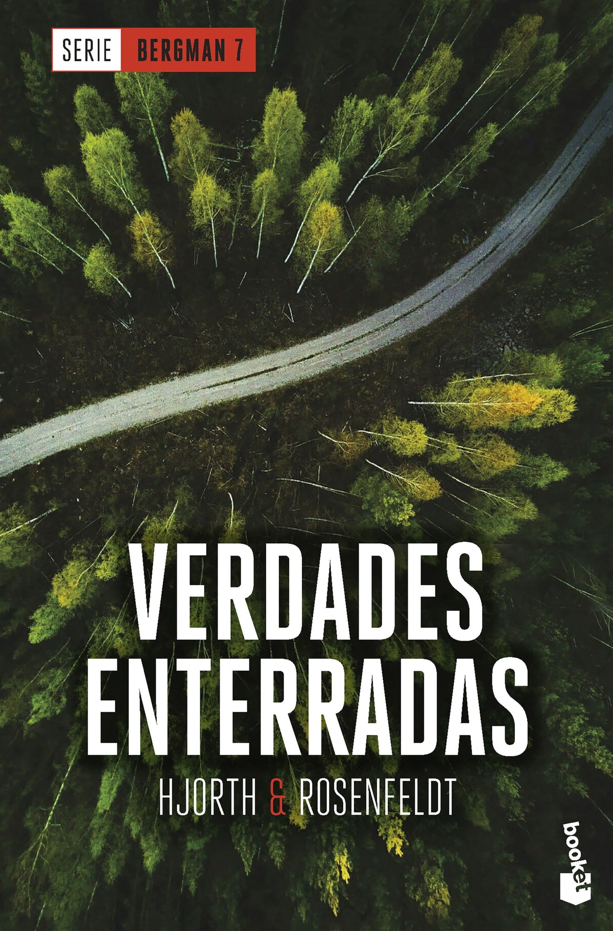Verdades enterradas (Serie Bergman, 7)