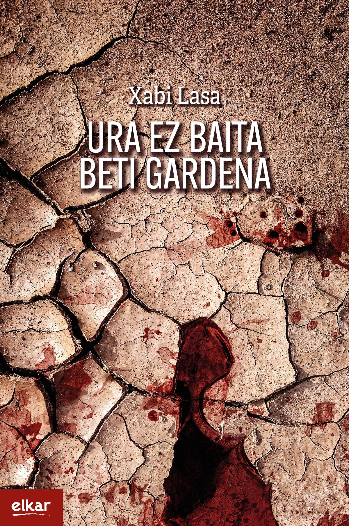 Ura ez baita beti gardena (Irun hiria literatura)