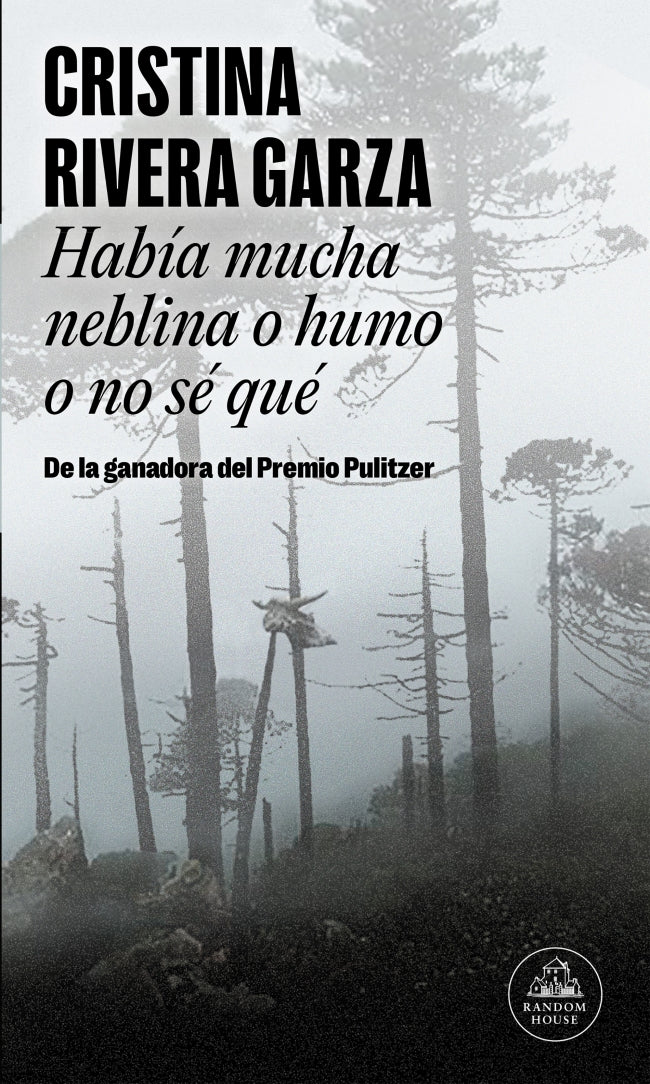 Había mucha neblina o humo o no sé qué (Mapa de las lenguas)