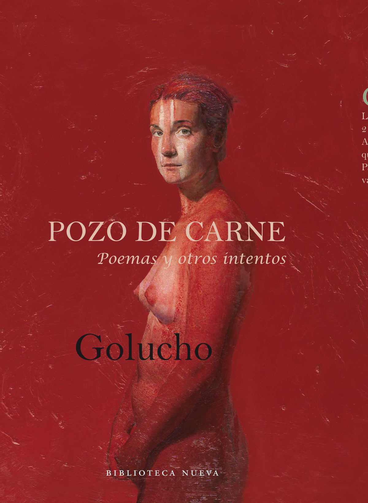 Pozo de carne
